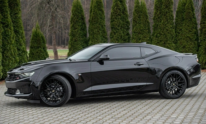 Chevrolet Camaro cena 114700 przebieg: 53000, rok produkcji 2019 z Krośniewice małe 466